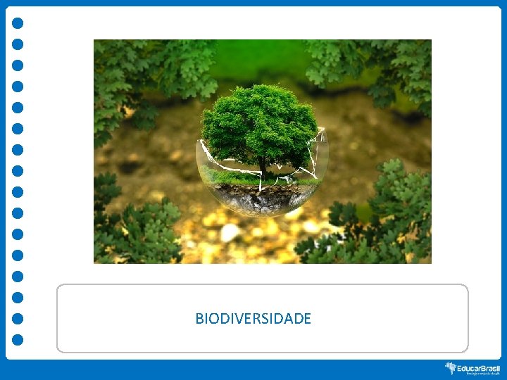 BIODIVERSIDADE 