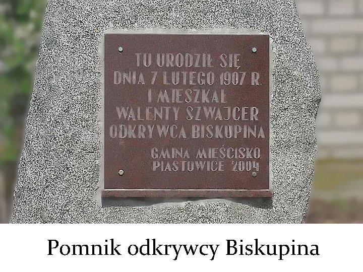 Pomnik odkrywcy Biskupina 