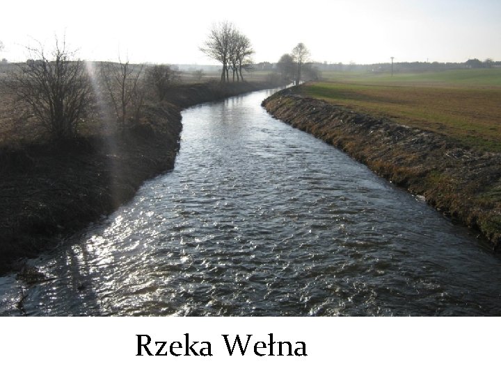 Rzeka Wełna 