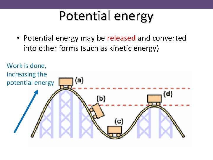 Potential energy • Potential energy may be released and converted into other forms (such