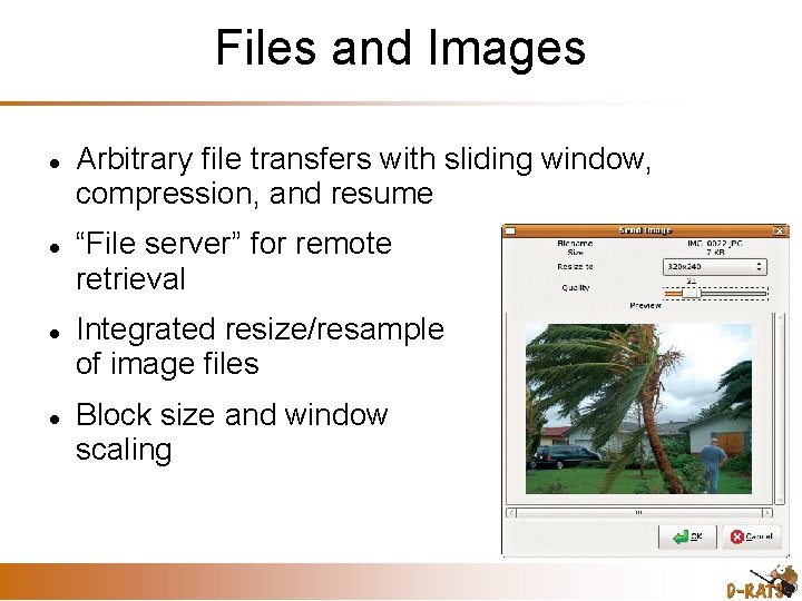 Files and Images Arbitrary file transfers with sliding window, compression, and resume “File server”