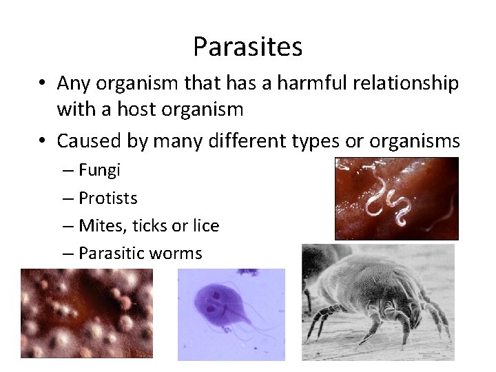 Parasites • Any organism that has a harmful relationship with a host organism •