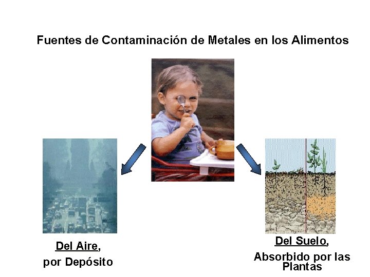 Fuentes de Contaminación de Metales en los Alimentos Del Aire, por Depósito Del Suelo,