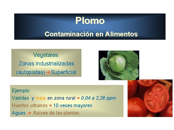 Plomo Contaminación en Alimentos Vegetales: Zonas industrializadas (autopistas) Superficial Ejemplo: Vainitas y maíz en