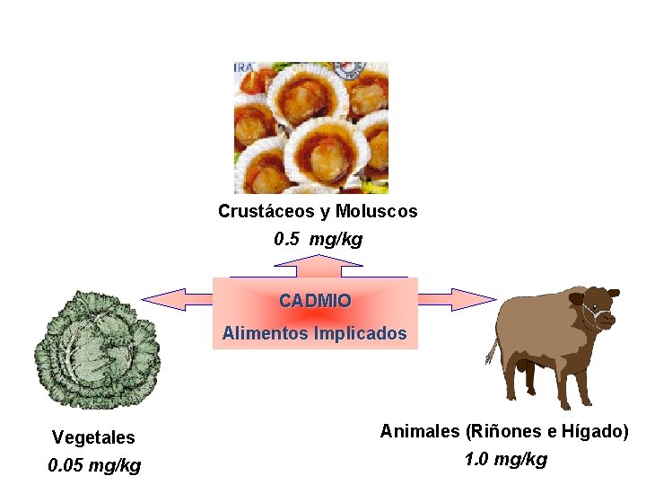 Crustáceos y Moluscos 0. 5 mg/kg CADMIO Alimentos Implicados Vegetales Animales (Riñones e Hígado)