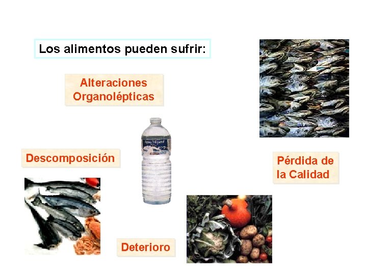 Los alimentos pueden sufrir: Alteraciones Organolépticas Descomposición Pérdida de la Calidad Deterioro 