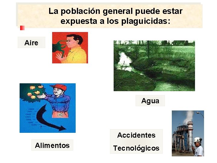 La población general puede estar expuesta a los plaguicidas: Aire Agua Accidentes Alimentos Tecnológicos