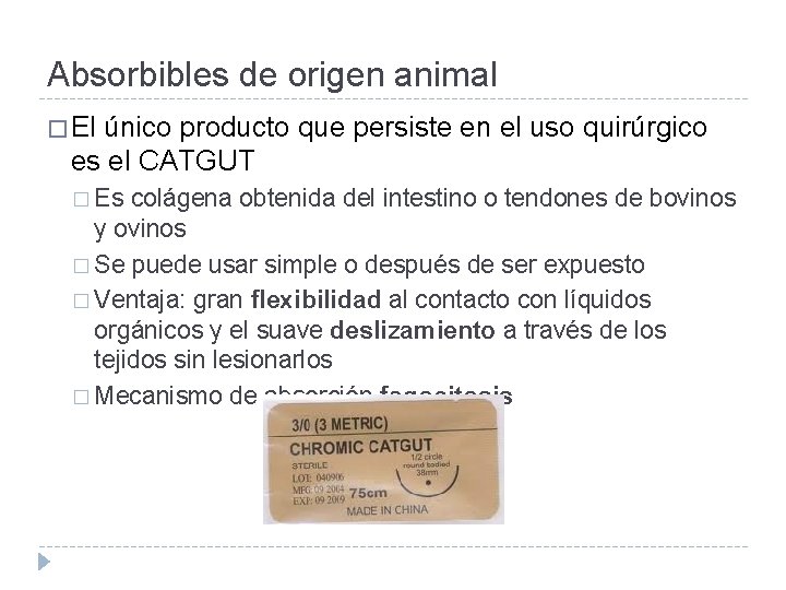 Absorbibles de origen animal � El único producto que persiste en el uso quirúrgico