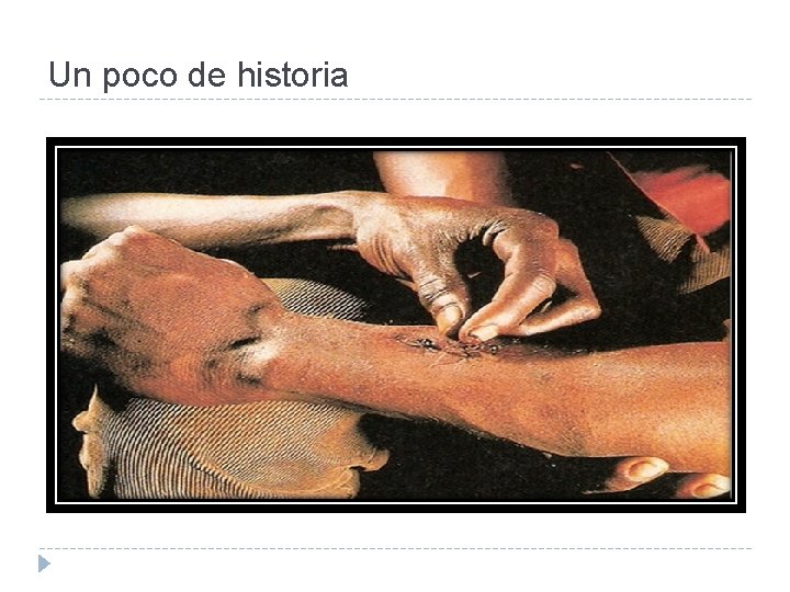Un poco de historia 