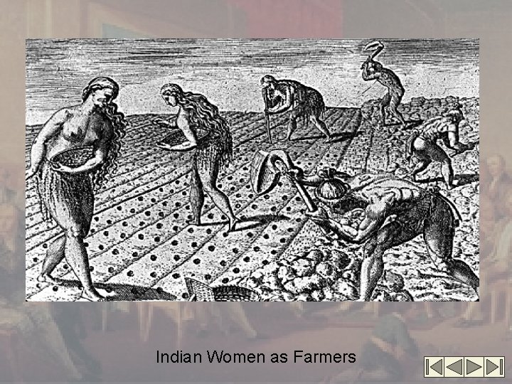 Indian Women as Farmers 