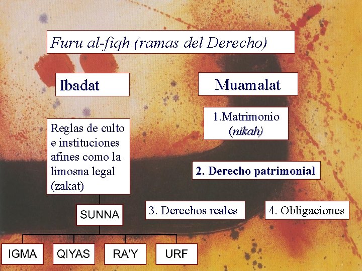 Furu al-fiqh (ramas del Derecho) Ibadat Reglas de culto e instituciones afines como la
