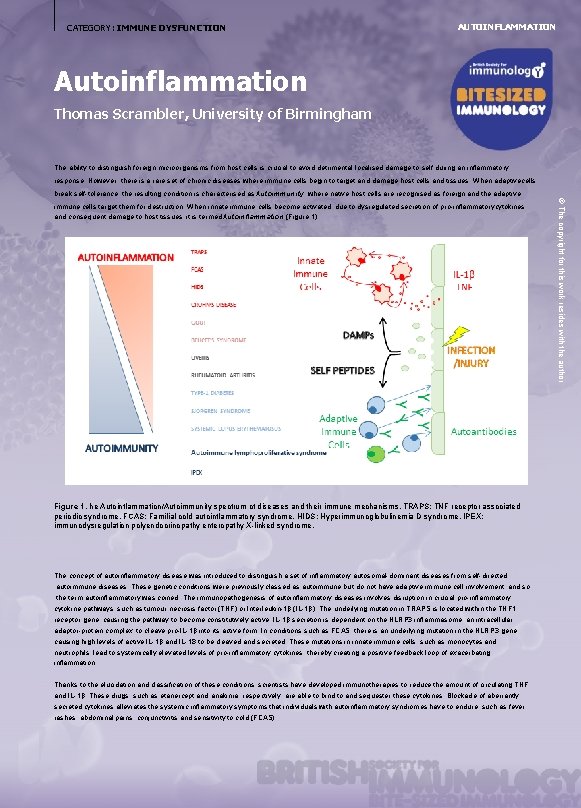 CATEGORY: IMMUNE DYSFUNCTION AUTOINFLAMMATION Autoinflammation Thomas Scrambler, University of Birmingham The ability to distinguish