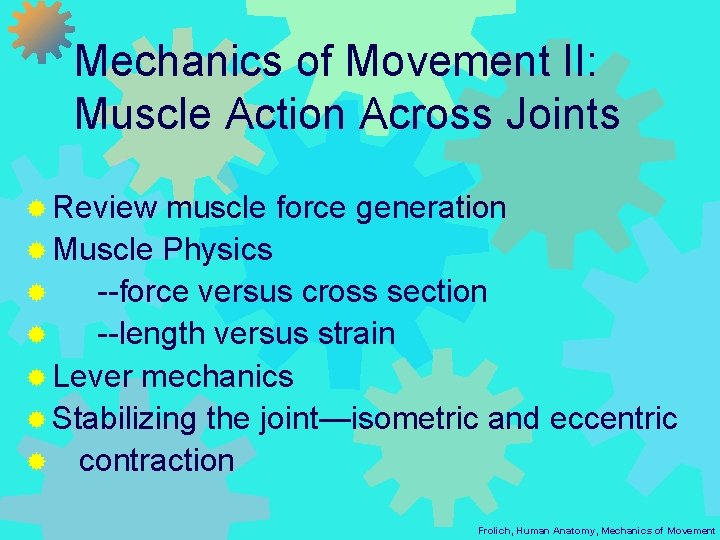 Mechanics of Movement II: Muscle Action Across Joints ® Review muscle force generation ®