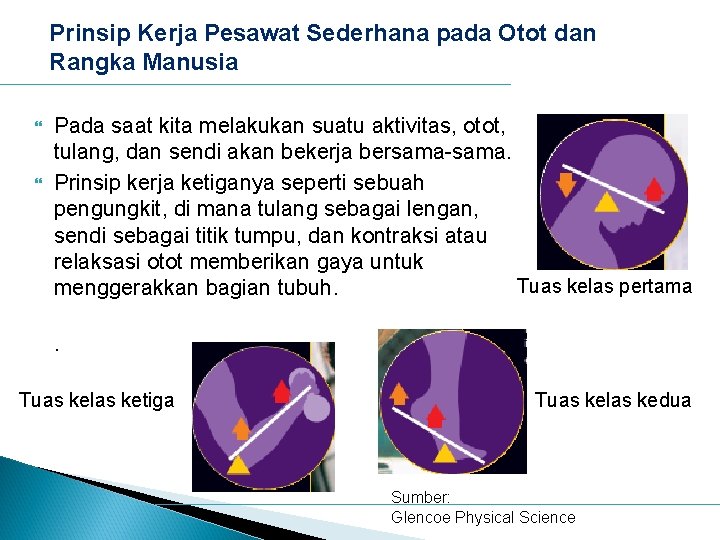 Prinsip Kerja Pesawat Sederhana pada Otot dan Rangka Manusia Pada saat kita melakukan suatu