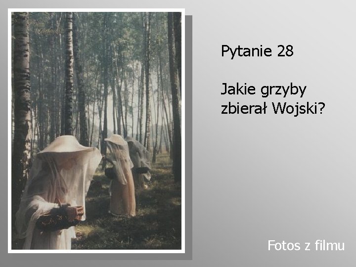 Pytanie 28 Jakie grzyby zbierał Wojski? Fotos z filmu 