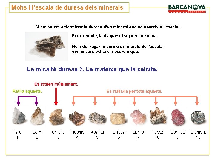 Mohs i l’escala de duresa dels minerals Si ara volem determinar la duresa d'un