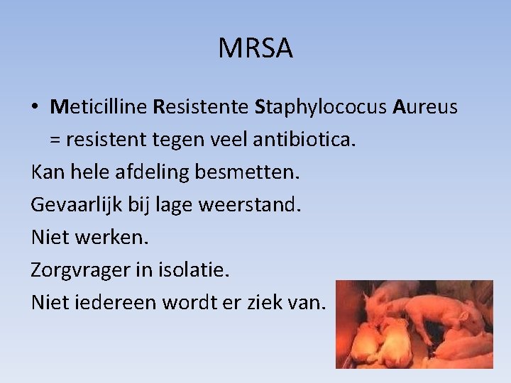 MRSA • Meticilline Resistente Staphylococus Aureus = resistent tegen veel antibiotica. Kan hele afdeling