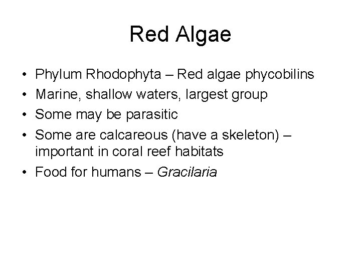 Red Algae • • Phylum Rhodophyta – Red algae phycobilins Marine, shallow waters, largest