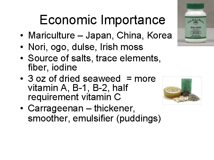 Economic Importance • Mariculture – Japan, China, Korea • Nori, ogo, dulse, Irish moss