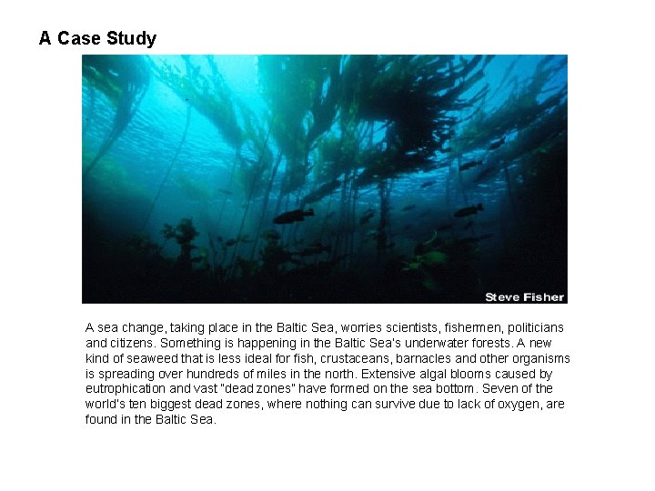 A Case Study A sea change, taking place in the Baltic Sea, worries scientists,