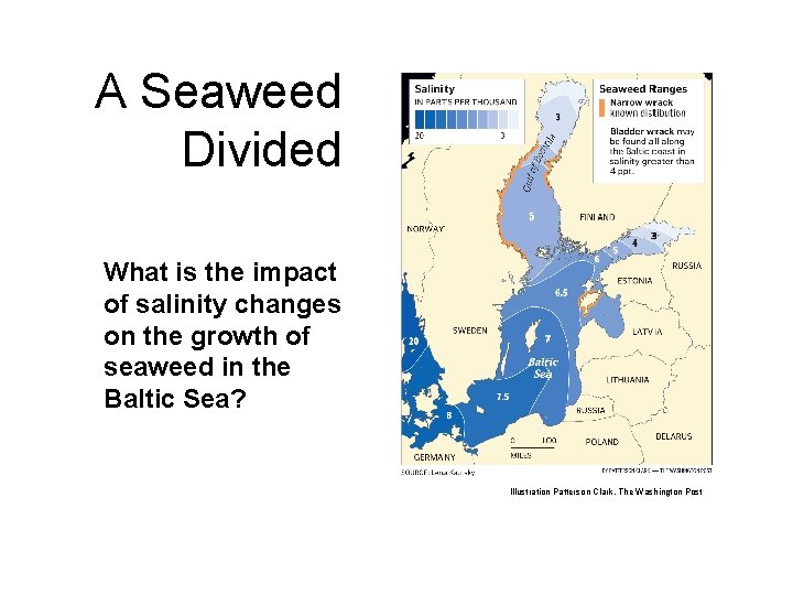 A Seaweed Divided What is the impact of salinity changes on the growth of