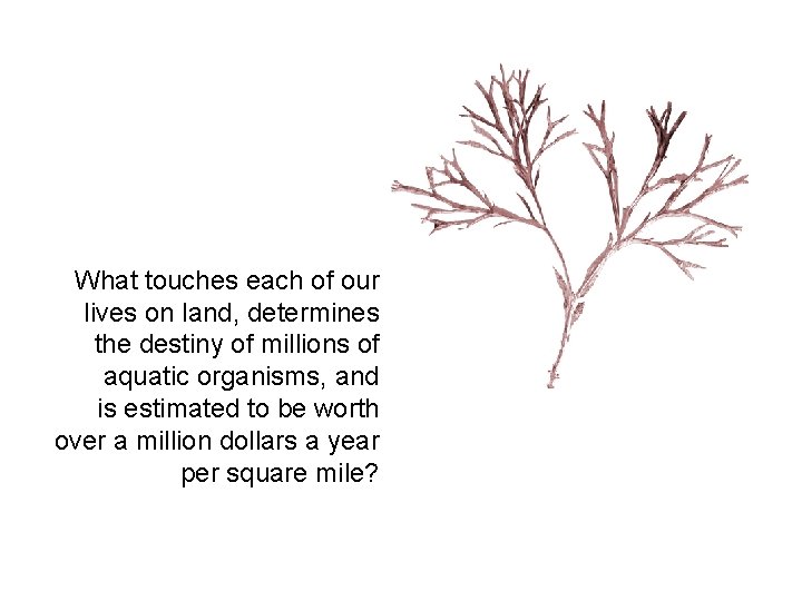 What touches each of our lives on land, determines the destiny of millions of