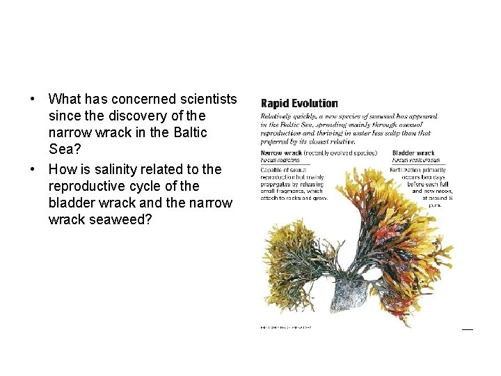  • What has concerned scientists since the discovery of the narrow wrack in
