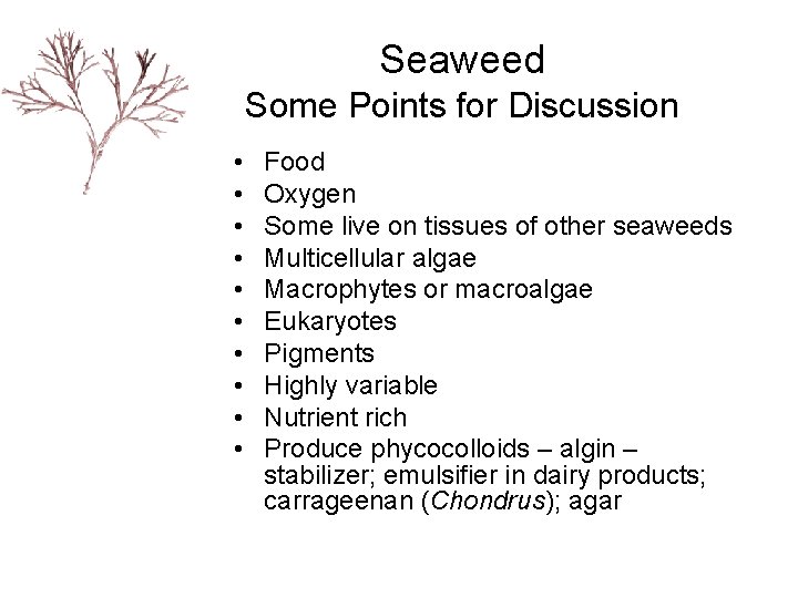 Seaweed Some Points for Discussion • • • Food Oxygen Some live on tissues