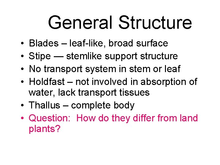 General Structure • • Blades – leaf-like, broad surface Stipe — stemlike support structure