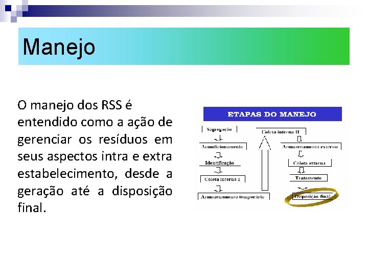 Manejo O manejo dos RSS é entendido como a ação de gerenciar os resíduos Manejo O manejo dos RSS é entendido como a ação de gerenciar os resíduos