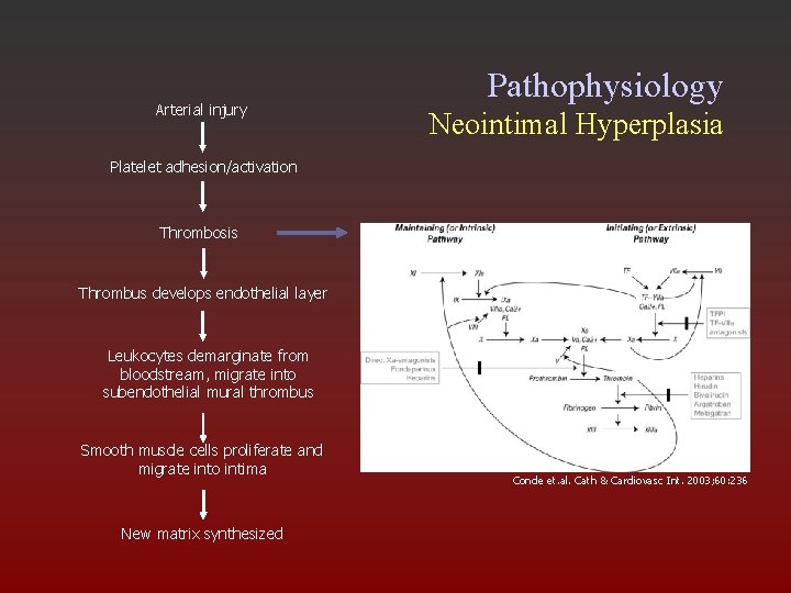 Arterial injury Pathophysiology Neointimal Hyperplasia Platelet adhesion/activation Thrombosis Thrombus develops endothelial layer Leukocytes demarginate