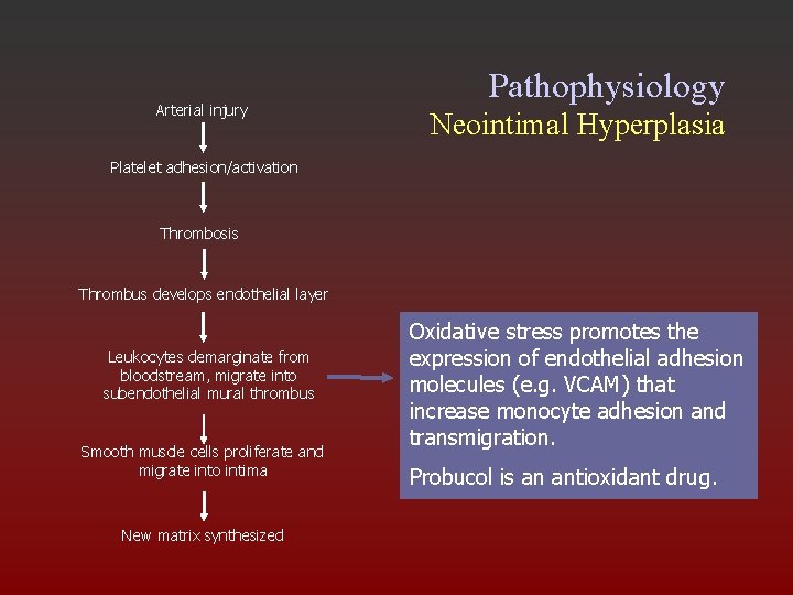 Arterial injury Pathophysiology Neointimal Hyperplasia Platelet adhesion/activation Thrombosis Thrombus develops endothelial layer Leukocytes demarginate