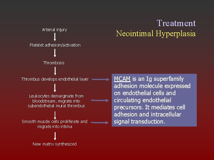 Arterial injury Treatment Neointimal Hyperplasia Platelet adhesion/activation Thrombosis Thrombus develops endothelial layer Leukocytes demarginate