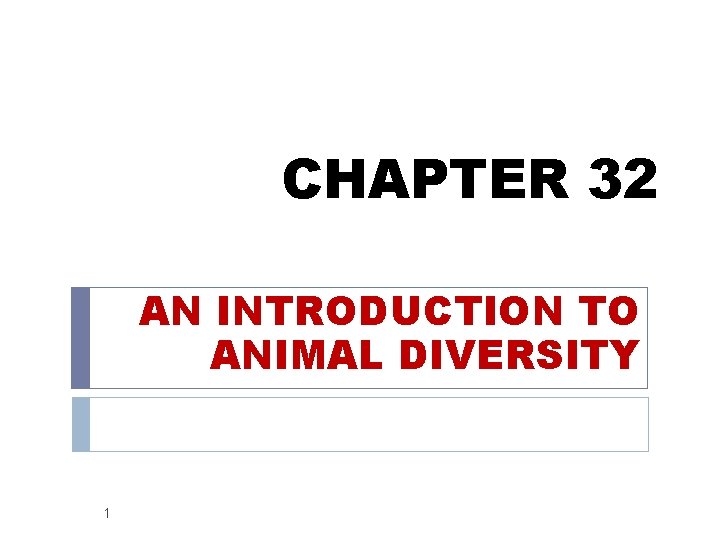 CHAPTER 32 AN INTRODUCTION TO ANIMAL DIVERSITY 1 