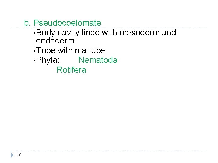 b. Pseudocoelomate • Body cavity lined with mesoderm and endoderm • Tube within a