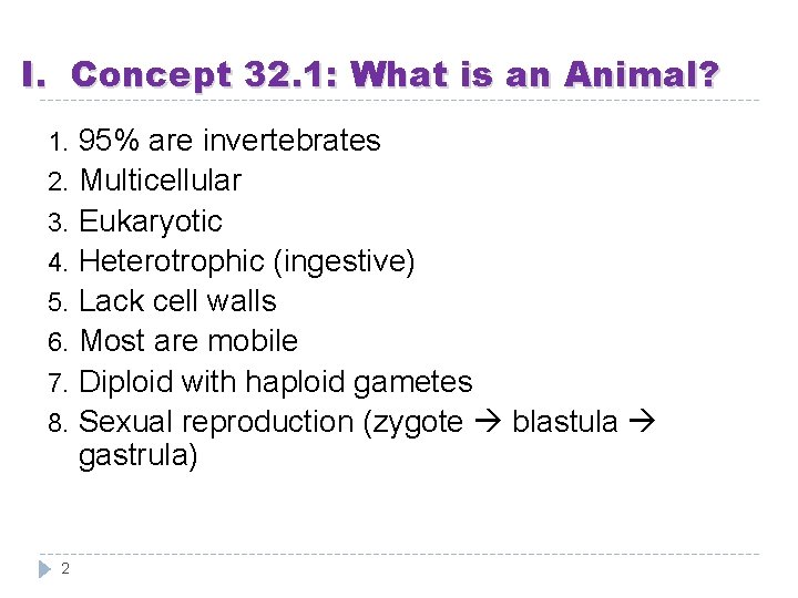 I. Concept 32. 1: What is an Animal? 95% are invertebrates 2. Multicellular 3.