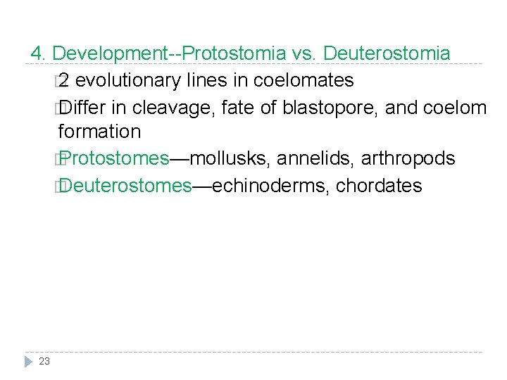4. Development--Protostomia vs. Deuterostomia � 2 evolutionary lines in coelomates � Differ in cleavage,