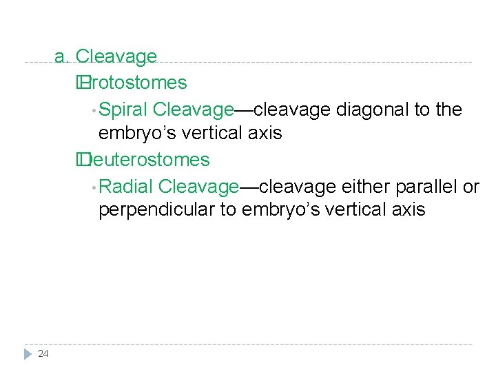 a. Cleavage � Protostomes • Spiral Cleavage—cleavage diagonal to the embryo’s vertical axis �
