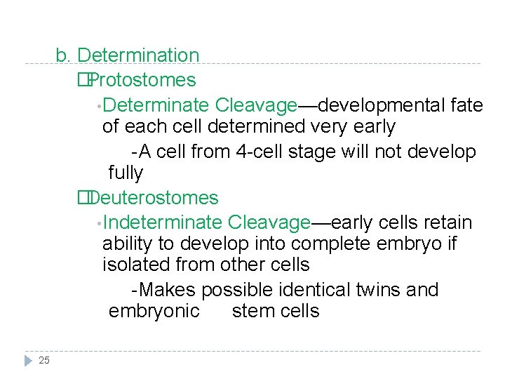 b. Determination �Protostomes • Determinate Cleavage—developmental fate of each cell determined very early -A