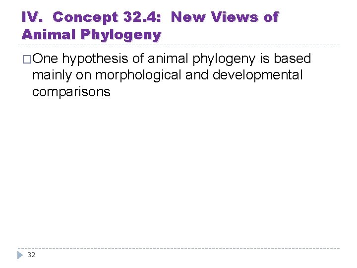 IV. Concept 32. 4: New Views of Animal Phylogeny �One hypothesis of animal phylogeny