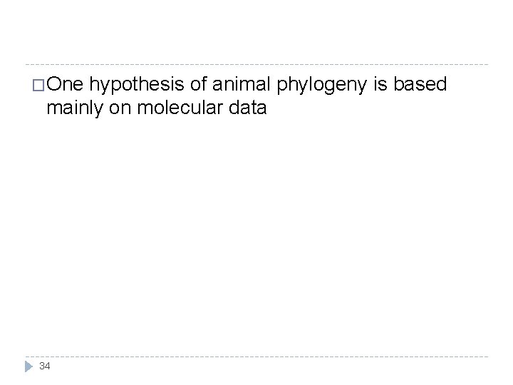�One hypothesis of animal phylogeny is based mainly on molecular data 34 