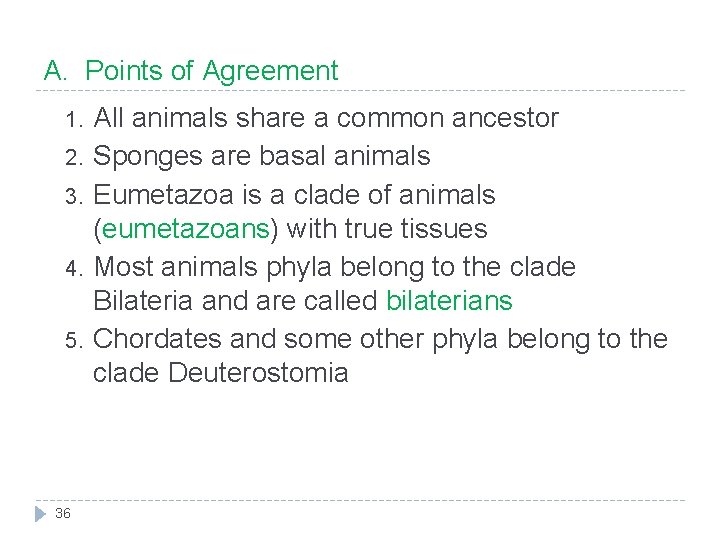 A. Points of Agreement 1. 2. 3. 4. 5. 36 All animals share a