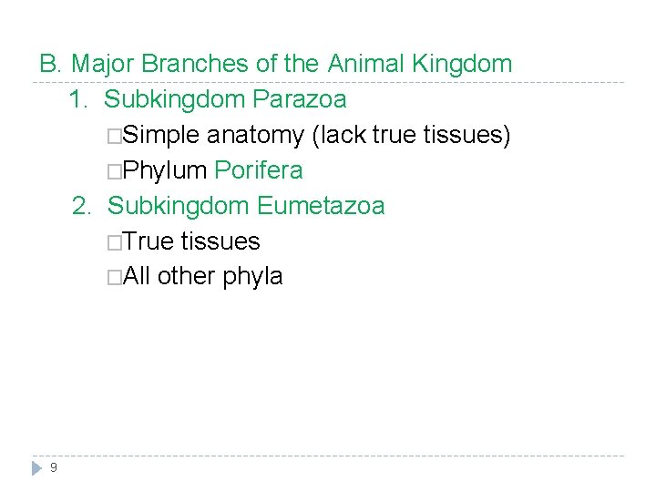 B. Major Branches of the Animal Kingdom 1. Subkingdom Parazoa �Simple anatomy (lack true