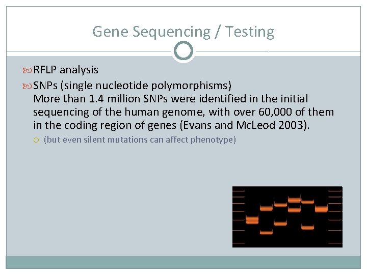 Gene Sequencing / Testing RFLP analysis SNPs (single nucleotide polymorphisms) More than 1. 4