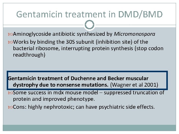 Gentamicin treatment in DMD/BMD Aminoglycoside antibiotic synthesized by Micromonospora Works by binding the 30