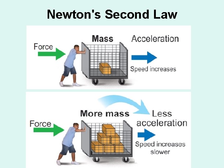 Newton's Second Law 