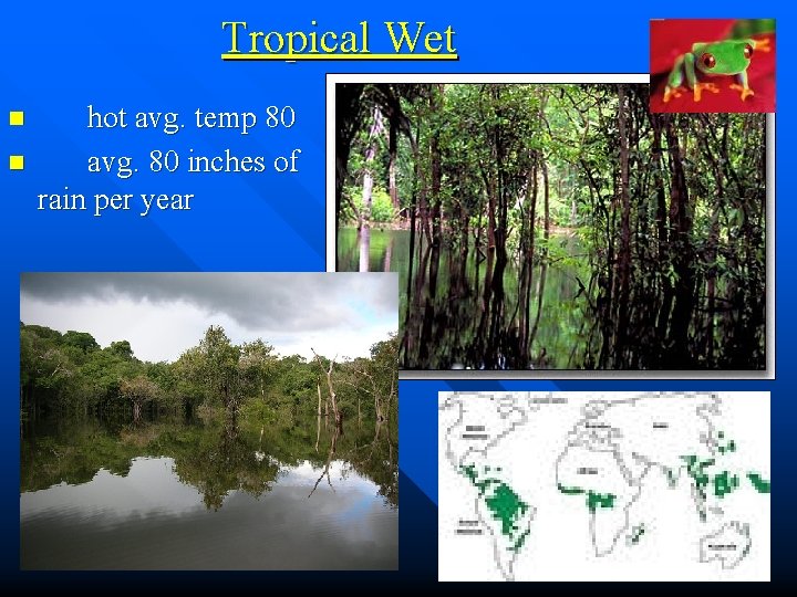 Tropical Wet n n hot avg. temp 80 avg. 80 inches of rain per