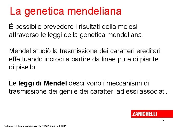 La genetica mendeliana È possibile prevedere i risultati della meiosi attraverso le leggi della