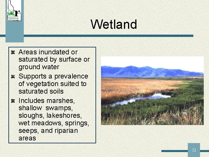 Wetland Areas inundated or saturated by surface or ground water Supports a prevalence of