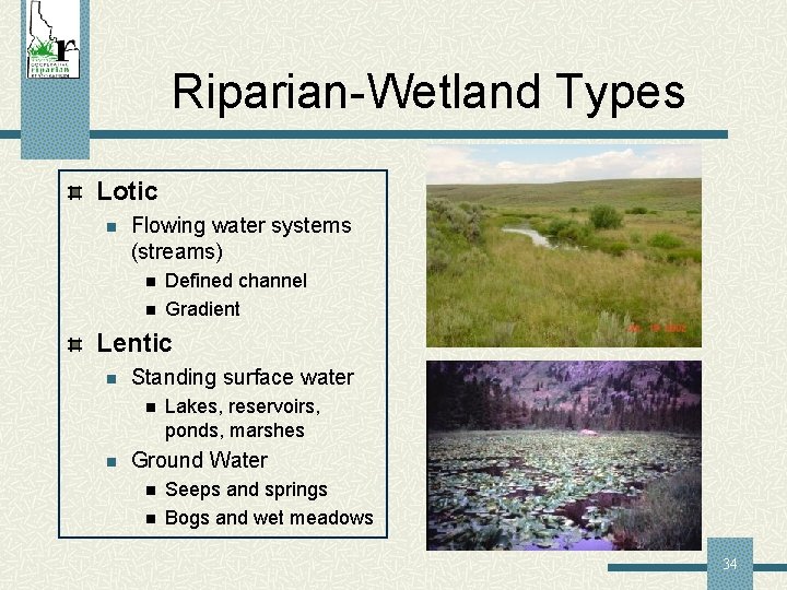 Riparian-Wetland Types Lotic n Flowing water systems (streams) n n Defined channel Gradient Lentic